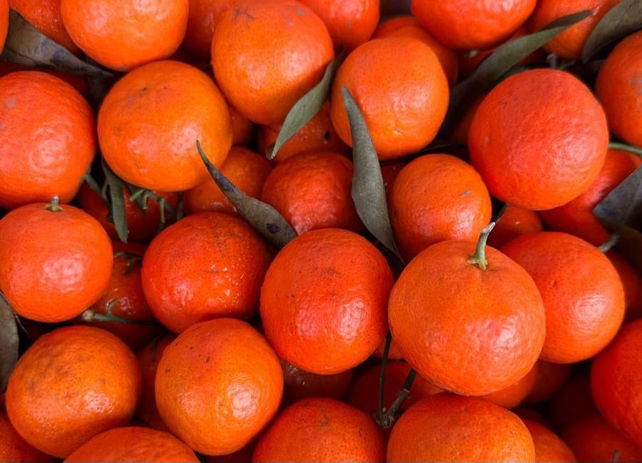 10 Manfaat Jeruk Santang yang Kecil Ukurannya, Besar Khasiatnya bagi Kesehatan