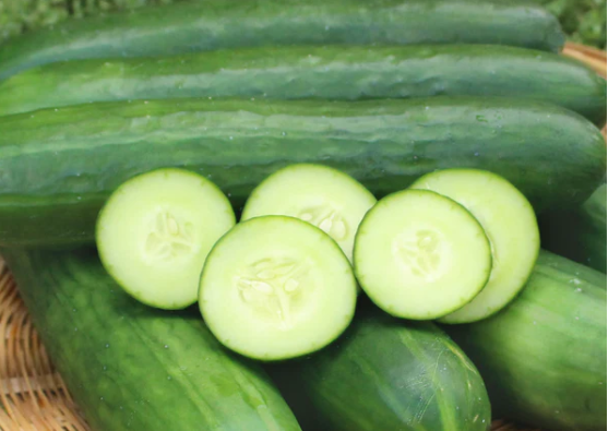 Wajib Tau Gaessss….Ini Sejuta Manfaat Timun untuk Kesehatan Badan